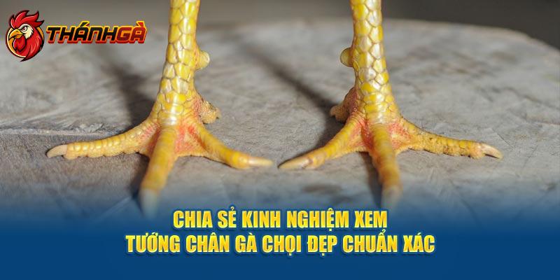 Chia sẻ Kinh Nghiệm Xem Tướng Chân Gà Chọi Đẹp Cực Hay