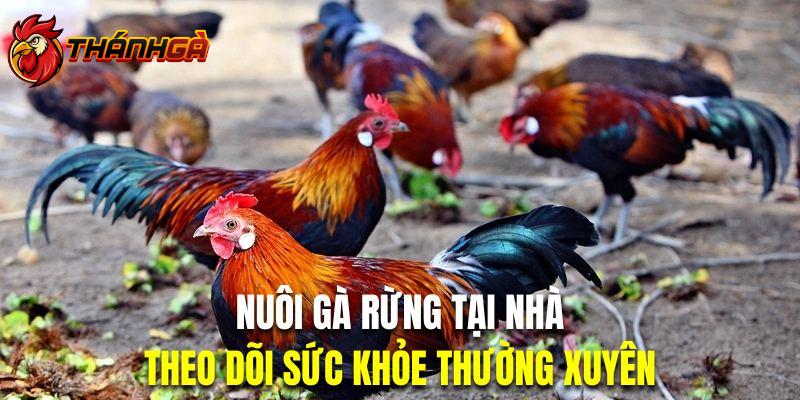 Theo dõi sức khỏe gà rừng để hạn chế tổn thất về mặt số lượng