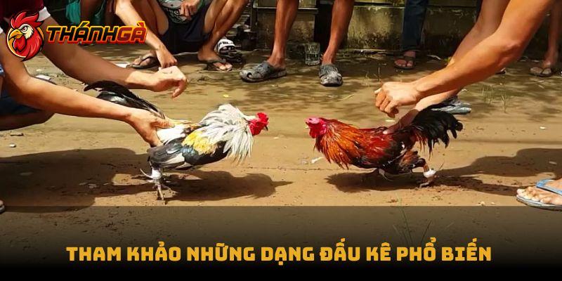 Tham khảo những dạng đấu kê phổ biến 