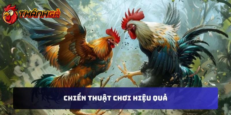 Chiến thuật chơi hiệu quả