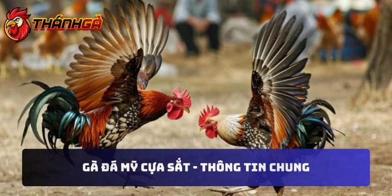 Gà đá Mỹ cựa sắt - Thông tin chung